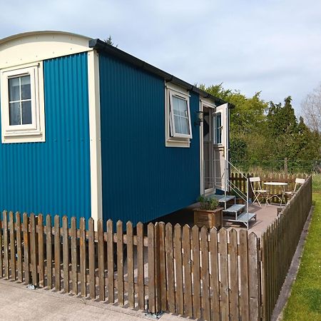 Shepherd Hut Bird Enniskillen, Fermanagh Esterno foto