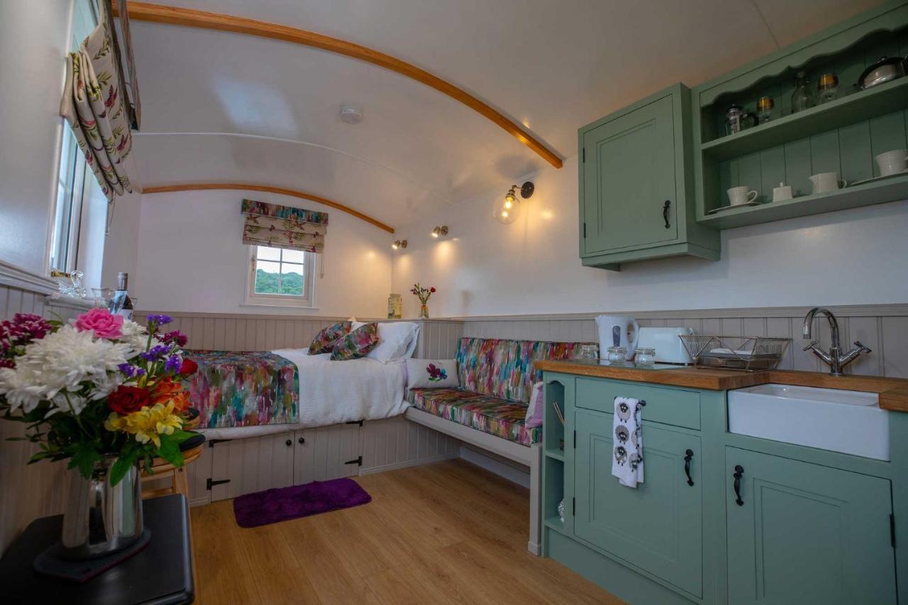Shepherd Hut Bird Enniskillen, Fermanagh Esterno foto